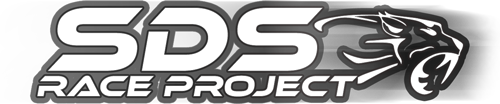 SDS Race Project 